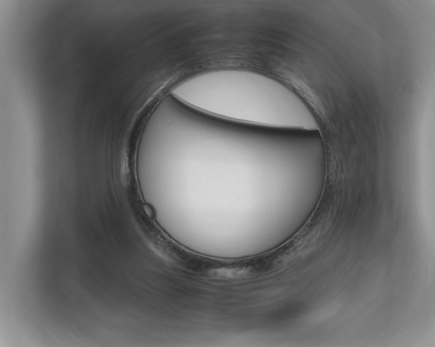 X0000112490251200908170957