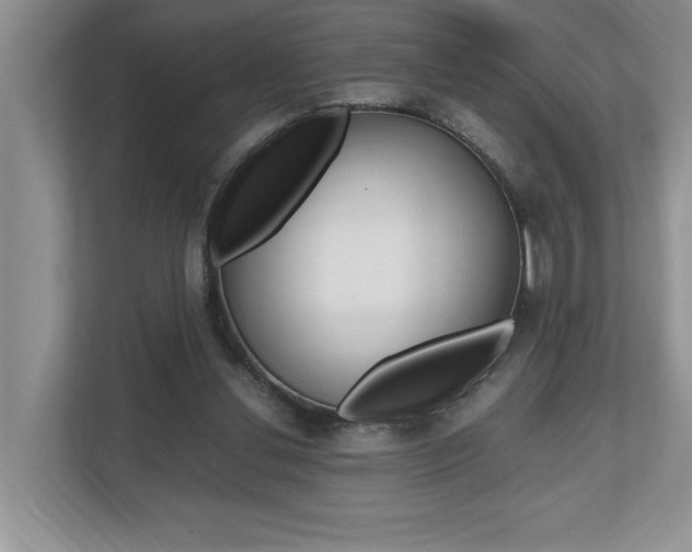 X0000112490252200908170957