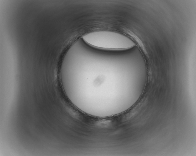 X0000112490257200908170957