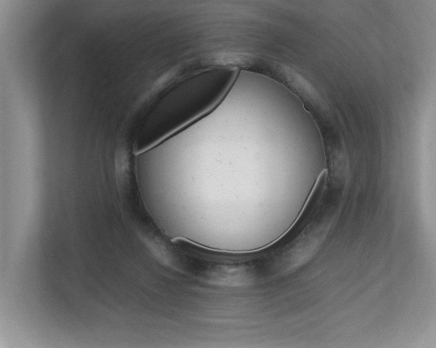 X0000112490260200908170957