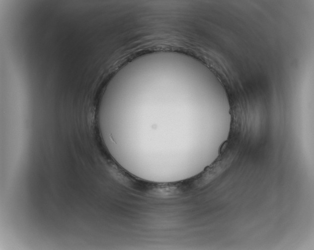 X0000112490278200908170957