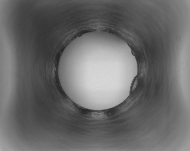 X0000112490279200908170957