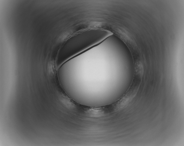 X0000112490280200908170957