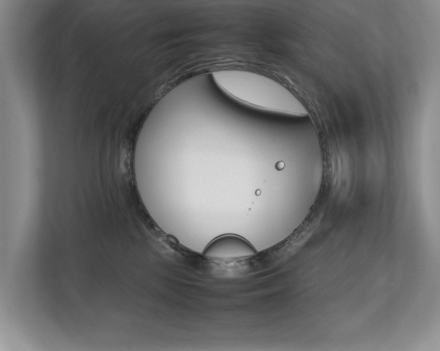 X0000112490281200908170957