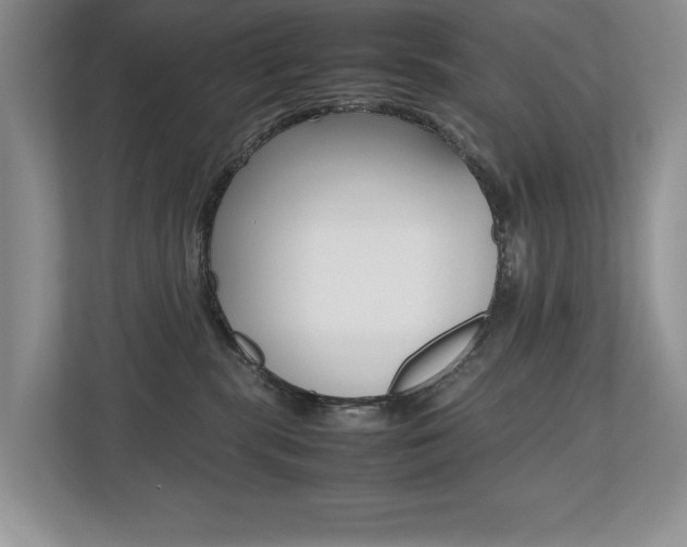 X0000112490283200908170957