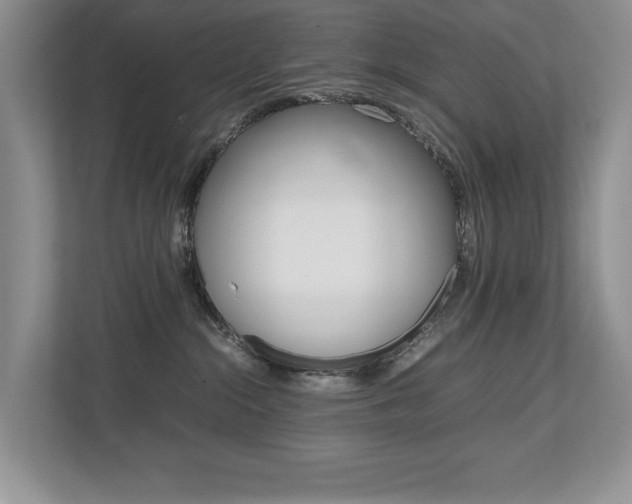 X0000112490284200908170957