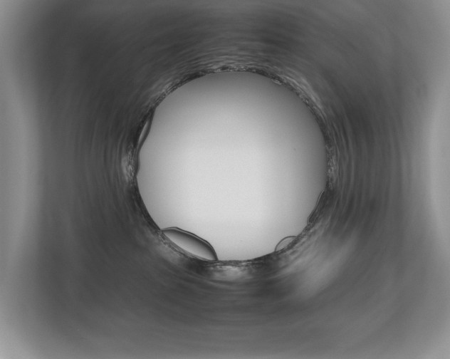 X0000112490285200908170957