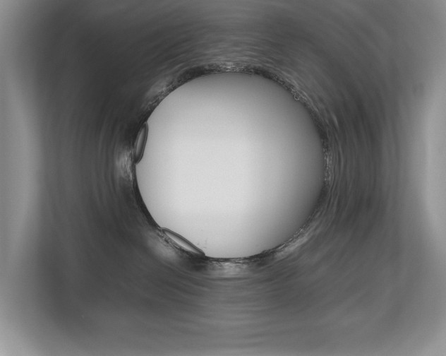 X0000112490286200908170957