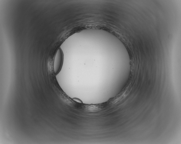 X0000112490287200908170957