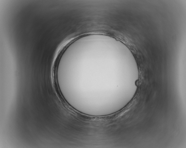 X0000112490294200908170957