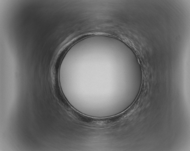 X0000112490295200908170957
