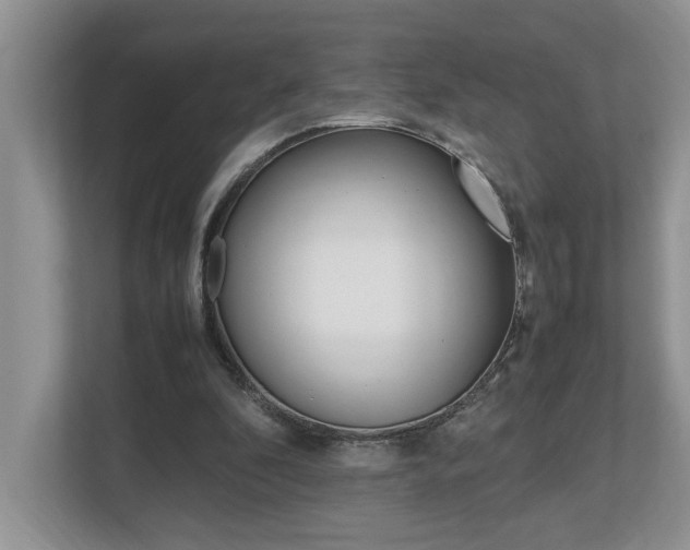 X0000112490296200908170957