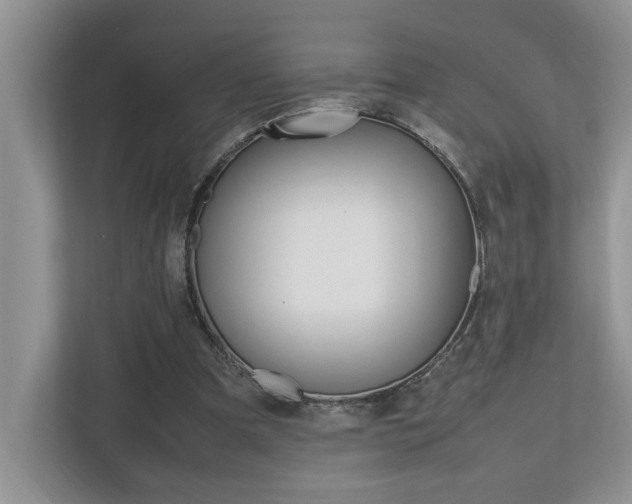 X0000112490297200908170957