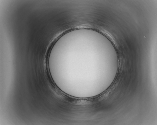 X0000112490298200908170957