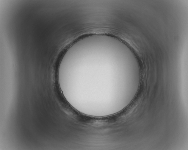 X0000112490303200908170956