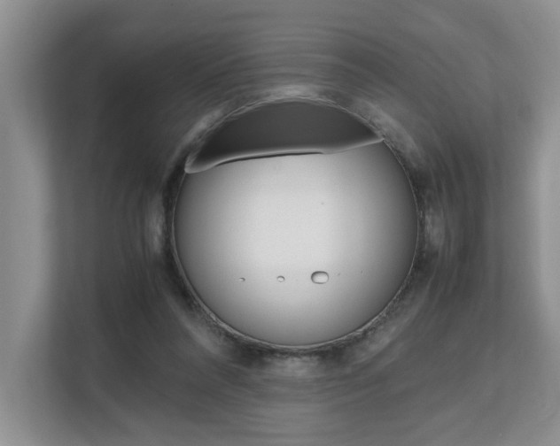 X0000112490304200908170956