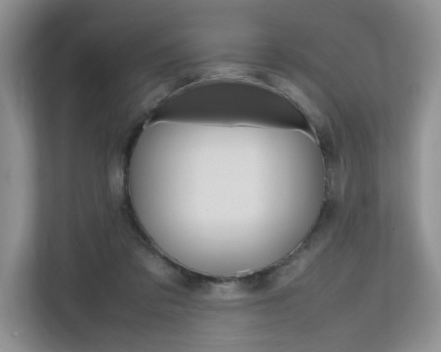 X0000112490309200908170956