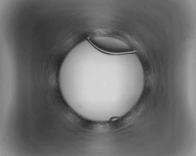 X0000112490317200908170956