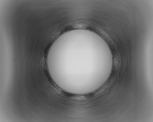 X0000112490322200908170956