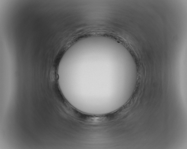 X0000112490323200908170956