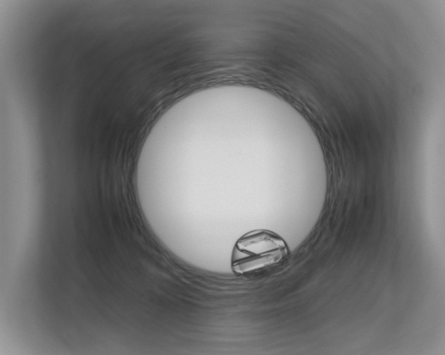X0000112490324200908170956