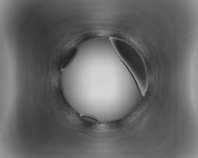 X0000112490325200908170956