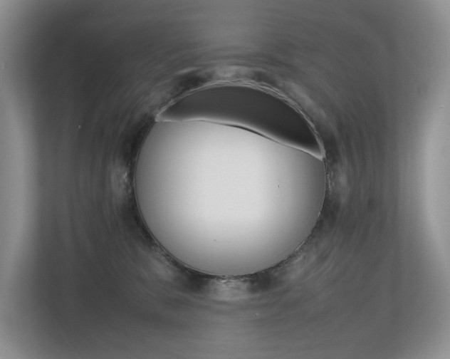 X0000112490327200908170956