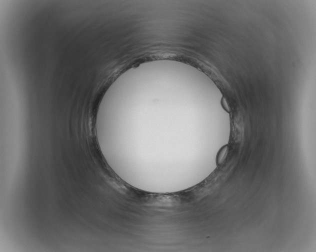 X0000112490330200908170956