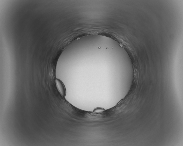 X0000112490331200908170956