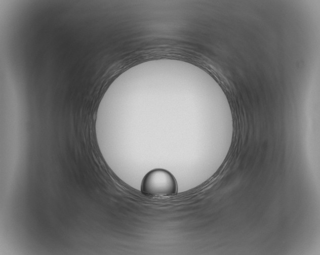 X0000112490333200908170956