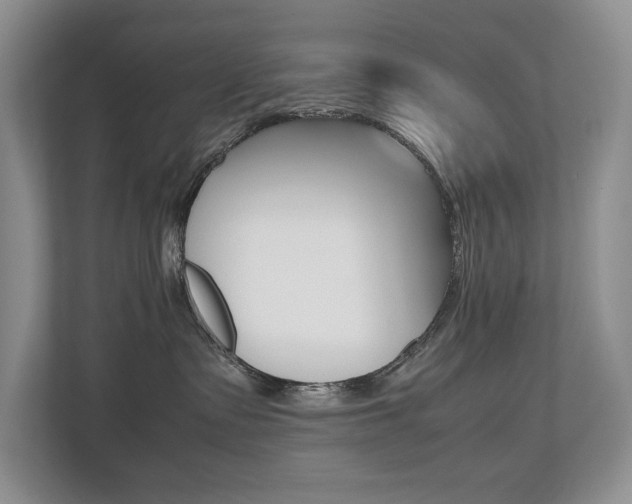 X0000112490335200908170956