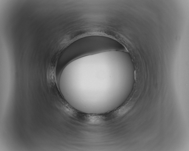 X0000112490336200908170956