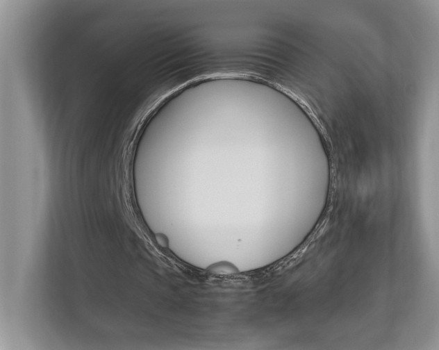 X0000112490337200908170955