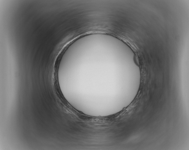 X0000112490338200908170955