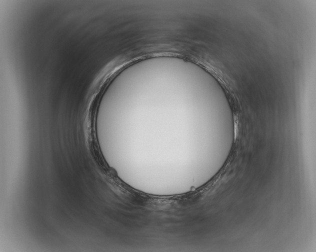X0000112490339200908170955