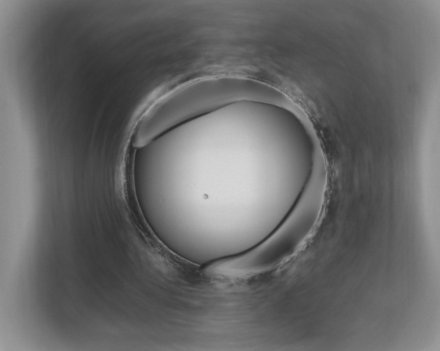 X0000112490340200908170955