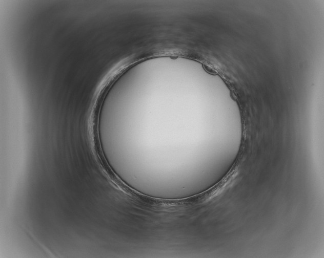 X0000112490341200908170955