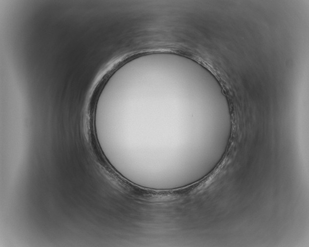 X0000112490342200908170955