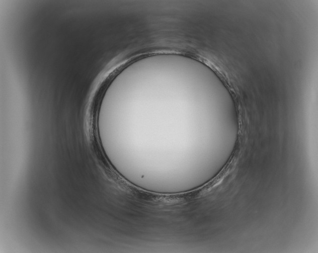 X0000112490343200908170955