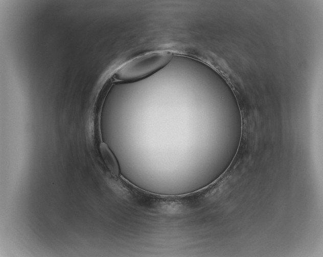 X0000112490344200908170955