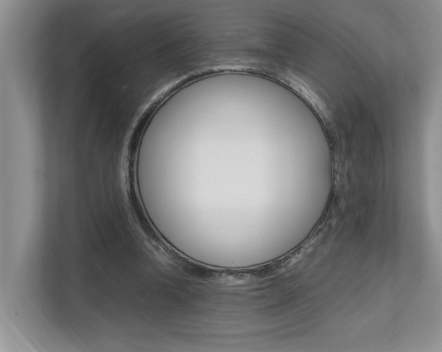 X0000112490346200908170956