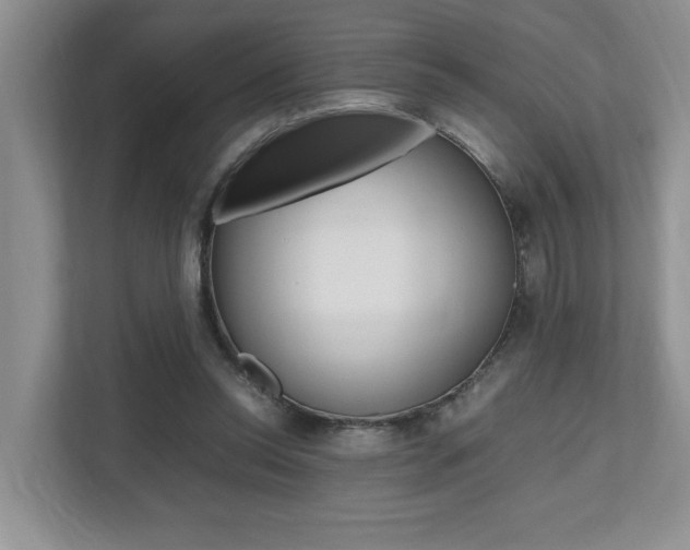 X0000112490350200908170956