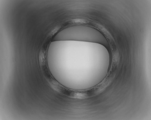 X0000112490360200908170956