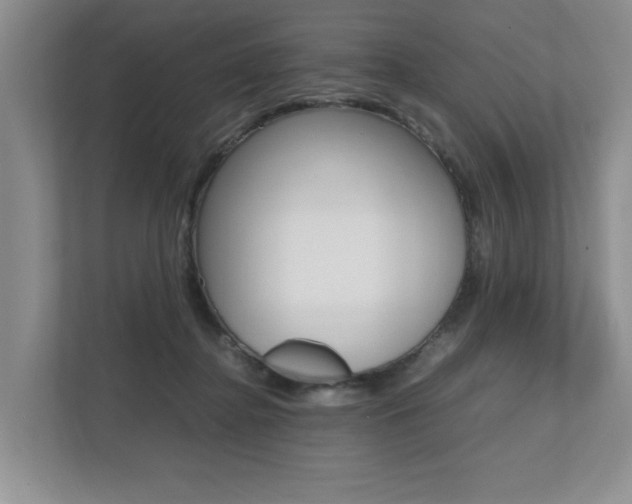 X0000112490364200908170956