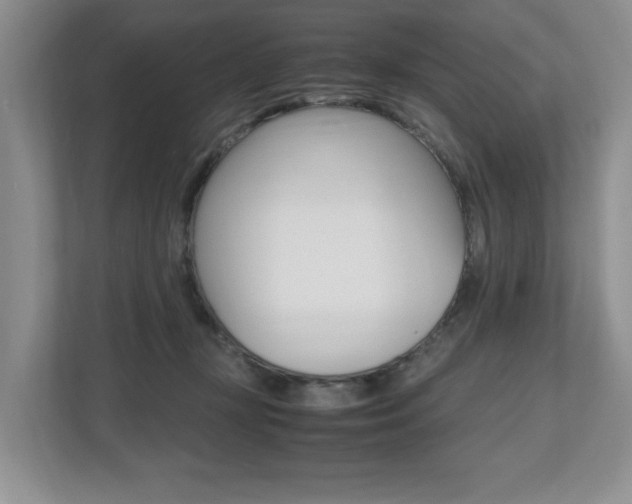 X0000112490367200908170956