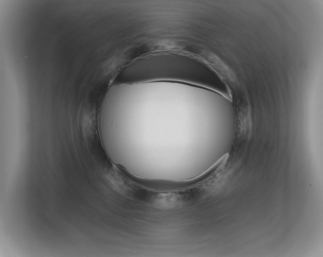 X0000112490376200908170956