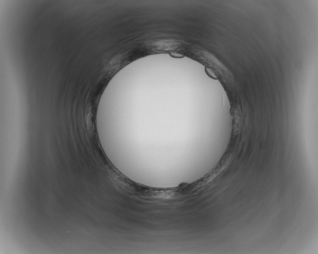 X0000112490377200908170956