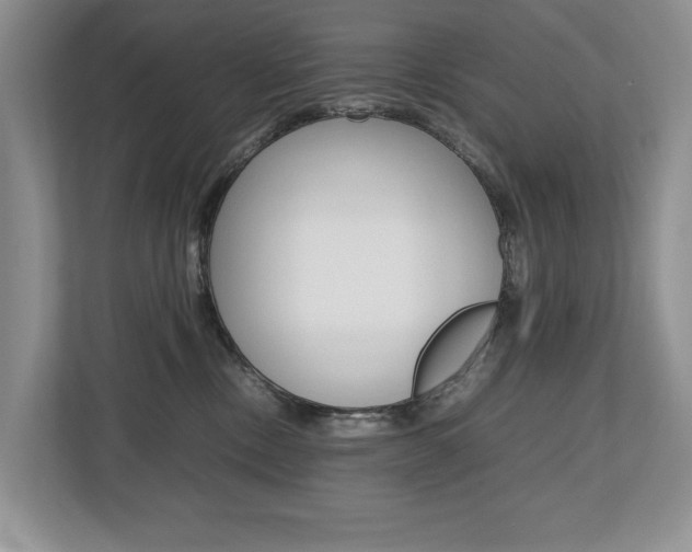 X0000112490378200908170956