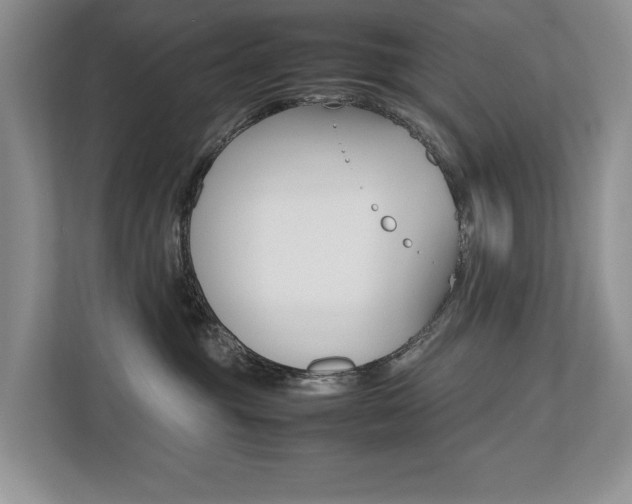 X0000112490381200908170956