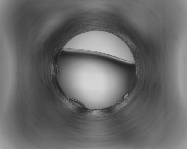 X0000112490382200908170956